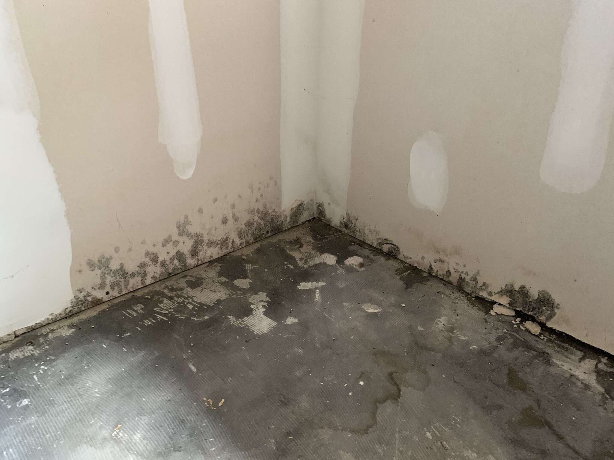 Mold growth on wall and floor corner in a Steubenville home