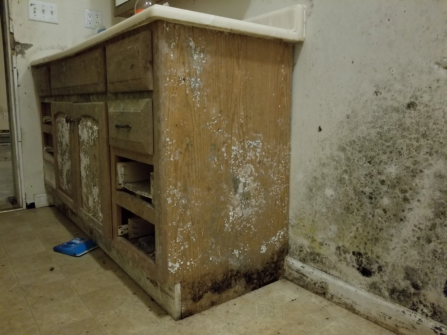 Extensive mold growth on kitchen cabinet and wall in a Steubenville home